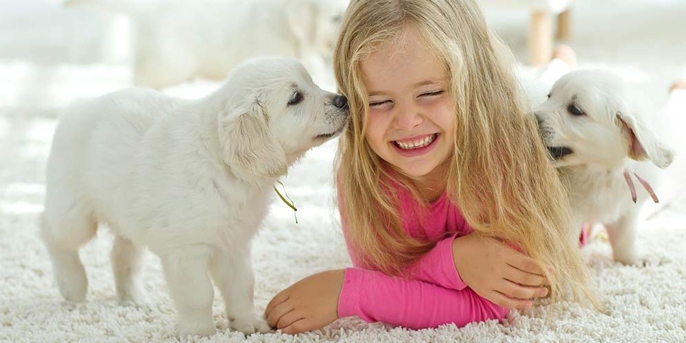 Aký typ podlahovej krytiny si vybrať? Koberec, alebo podlahu.